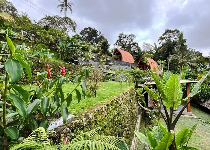 Séjour chez l'habitant Bali Eco Living *