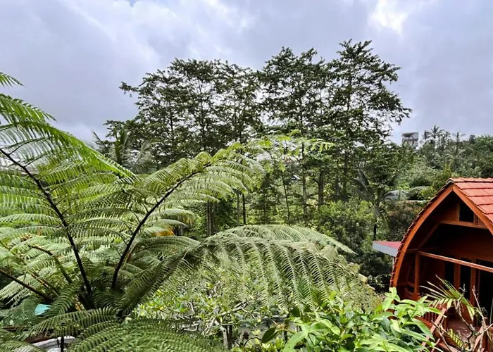 Bali Eco Living * Penebel
