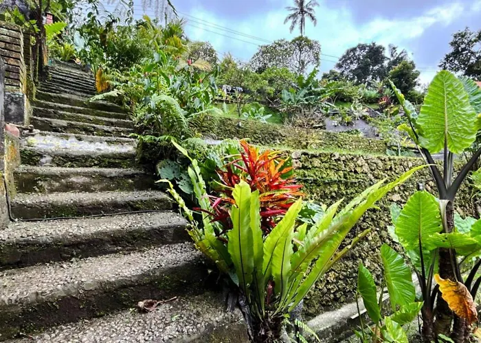 Séjour chez l'habitant Bali Eco Living
