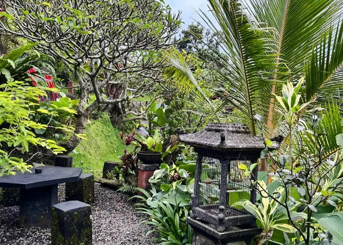Bali Eco Living * Penebel