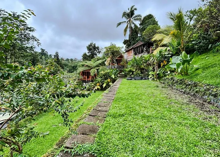 Bali Eco Living * Penebel
