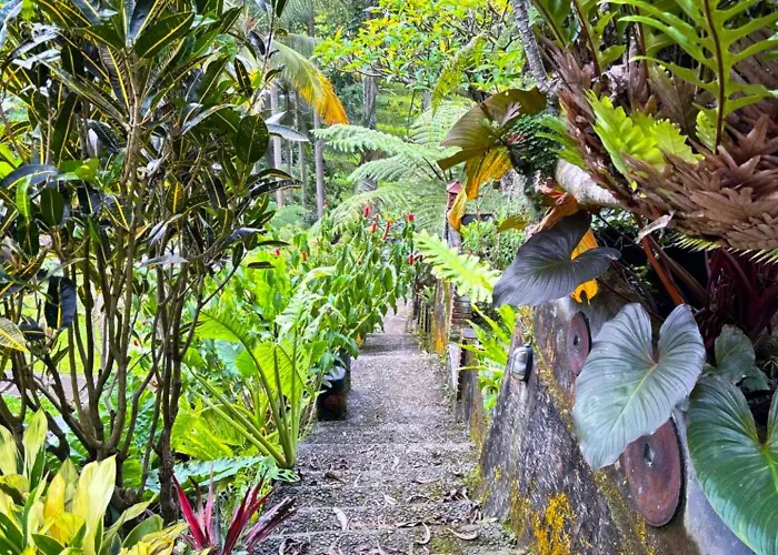 Bali Eco Living *